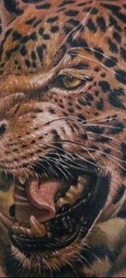 photo leopard tattoo 08.05.2019 №076 – snow leopard tattoo – tattoovalue.net