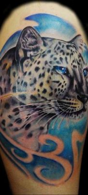 photo leopard tattoo 08.05.2019 №091 – snow leopard tattoo – tattoovalue.net