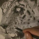 Close-up sketch of a snow leopard's face in graphite, showcasing detailed fur texture and intense eyes. A tattoo design inspiration.