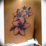 Photo jasmine flower tattoo example18.06.2019 №016 - tattoo - tatufoto.com