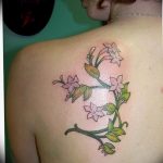 Photo jasmine flower tattoo example18.06.2019 №011 - tattoo - tatufoto.com