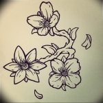 Photo jasmine flower tattoo example18.06.2019 №022 - tattoo - tatufoto.com