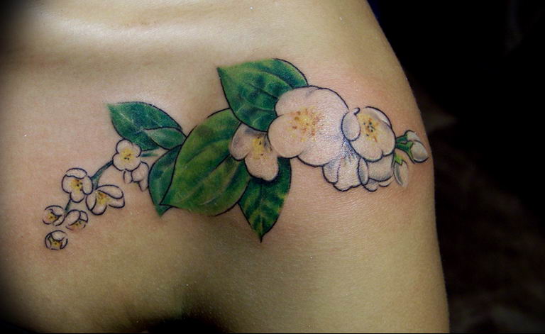 Photo jasmine flower tattoo18.06.2019 №019 - tattoo - tatufoto.com