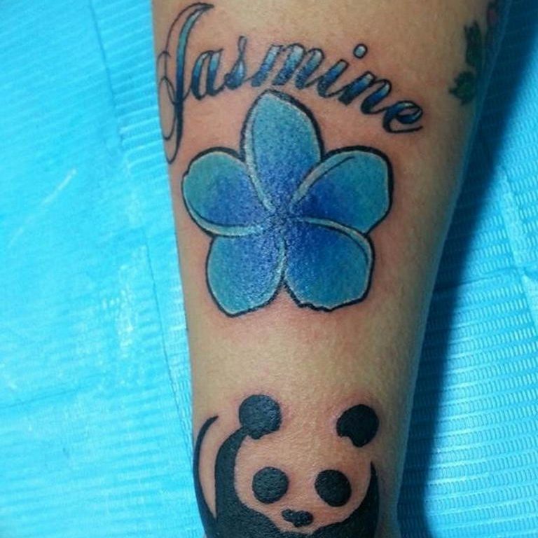 Photo jasmine flower tattoo example18.06.2019 №025 - tattoo - tatufoto.com - tattoovalue.net