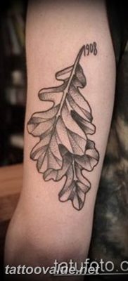 Photo oak leaves tattoo 25.05.2019 №002 – oak leaves tattoo idea – tattoovalue.net