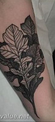 Photo oak leaves tattoo 25.05.2019 №066 – oak leaves tattoo idea – tattoovalue.net