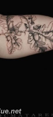 Photo oak leaves tattoo 25.05.2019 №069 – oak leaves tattoo idea – tattoovalue.net