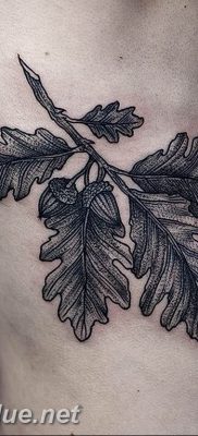 Photo oak leaves tattoo 25.05.2019 №076 – oak leaves tattoo idea – tattoovalue.net