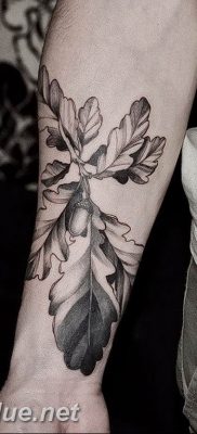 Photo oak leaves tattoo 25.05.2019 №081 – oak leaves tattoo idea – tattoovalue.net