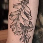 Photo oak leaves tattoo 25.05.2019 №002 - oak leaves tattoo idea - tattoovalue.net