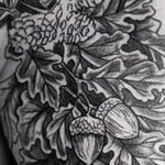Photo oak leaves tattoo 25.05.2019 №003 - oak leaves tattoo idea - tattoovalue.net