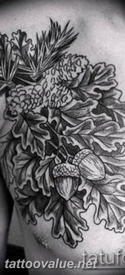Photo oak leaves tattoo 25.05.2019 №003 – oak leaves tattoo idea – tattoovalue.net