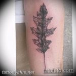 Photo oak leaves tattoo 25.05.2019 №010 - oak leaves tattoo idea - tattoovalue.net