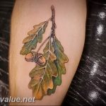 Photo oak leaves tattoo 25.05.2019 №011 - oak leaves tattoo idea - tattoovalue.net