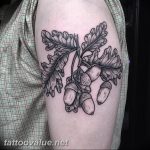Photo oak leaves tattoo 25.05.2019 №014 - oak leaves tattoo idea - tattoovalue.net