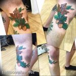 Photo oak leaves tattoo 25.05.2019 №026 - oak leaves tattoo idea - tattoovalue.net