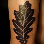 Photo oak leaves tattoo 25.05.2019 №027 - oak leaves tattoo idea - tattoovalue.net