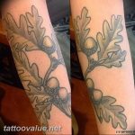 Photo oak leaves tattoo 25.05.2019 №035 - oak leaves tattoo idea - tattoovalue.net
