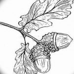 Photo oak leaves tattoo 25.05.2019 №039 - oak leaves tattoo idea - tattoovalue.net