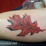 Photo oak leaves tattoo 25.05.2019 №045 - oak leaves tattoo idea - tattoovalue.net