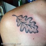Photo oak leaves tattoo 25.05.2019 №046 - oak leaves tattoo idea - tattoovalue.net