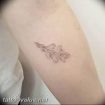 Photo oak leaves tattoo 25.05.2019 №048 - oak leaves tattoo idea - tattoovalue.net