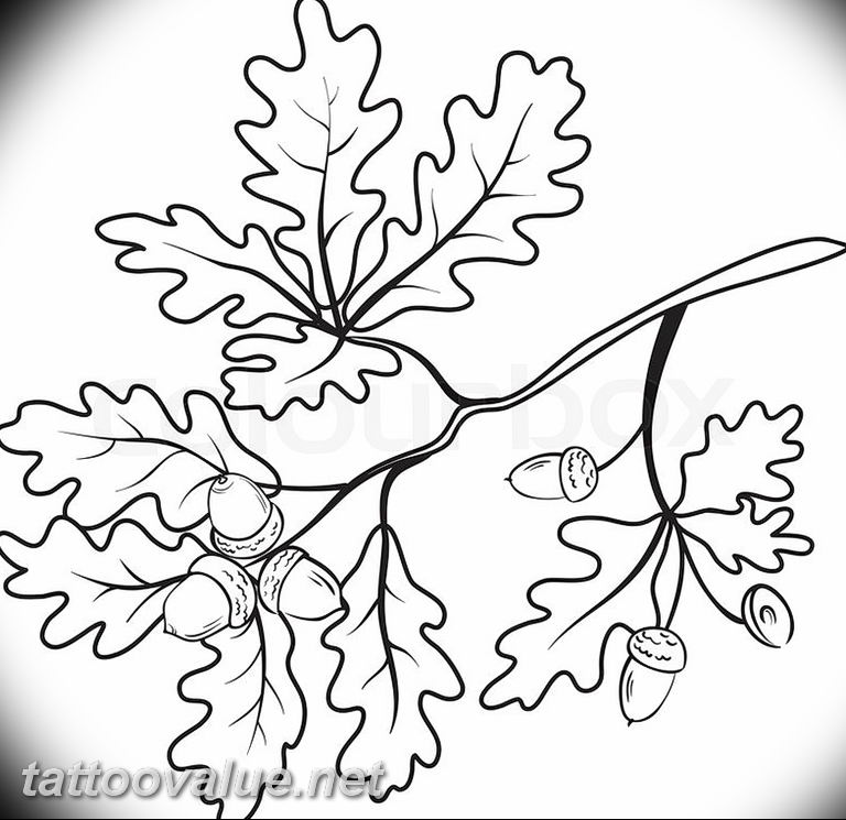 Photo oak leaves tattoo 25.05.2019 №049 - oak leaves tattoo idea - tattoovalue.net