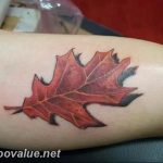 Photo oak leaves tattoo 25.05.2019 №060 - oak leaves tattoo idea - tattoovalue.net