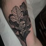 Photo oak leaves tattoo 25.05.2019 №066 - oak leaves tattoo idea - tattoovalue.net
