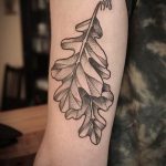 Photo oak leaves tattoo 25.05.2019 №088 - oak leaves tattoo idea - tattoovalue.net