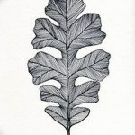 Photo oak leaves tattoo 25.05.2019 №097 - oak leaves tattoo idea - tattoovalue.net