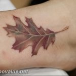 Photo oak leaves tattoo 25.05.2019 №098 - oak leaves tattoo idea - tattoovalue.net