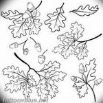 Photo oak leaves tattoo 25.05.2019 №106 - oak leaves tattoo idea - tattoovalue.net