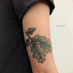 Photo oak leaves tattoo 25.05.2019 №113 - oak leaves tattoo idea - tattoovalue.net
