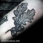 Photo oak leaves tattoo 25.05.2019 №132 - oak leaves tattoo idea - tattoovalue.net