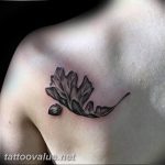 Photo oak leaves tattoo 25.05.2019 №136 - oak leaves tattoo idea - tattoovalue.net
