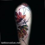 Photo oak leaves tattoo 25.05.2019 №138 - oak leaves tattoo idea - tattoovalue.net