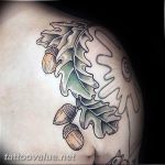 Photo oak leaves tattoo 25.05.2019 №142 - oak leaves tattoo idea - tattoovalue.net