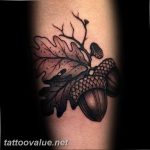 Photo oak leaves tattoo 25.05.2019 №143 - oak leaves tattoo idea - tattoovalue.net
