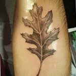 Photo oak leaves tattoo 25.05.2019 №148 - oak leaves tattoo idea - tattoovalue.net