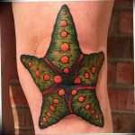 Photo star tattoo on his knees 19.06.2019 №024 - star tattoo example - tattoovalue.net