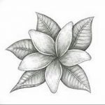 Photo tattoo jasmine sketches18.06.2019 №001 - tattoo - tatufoto.com