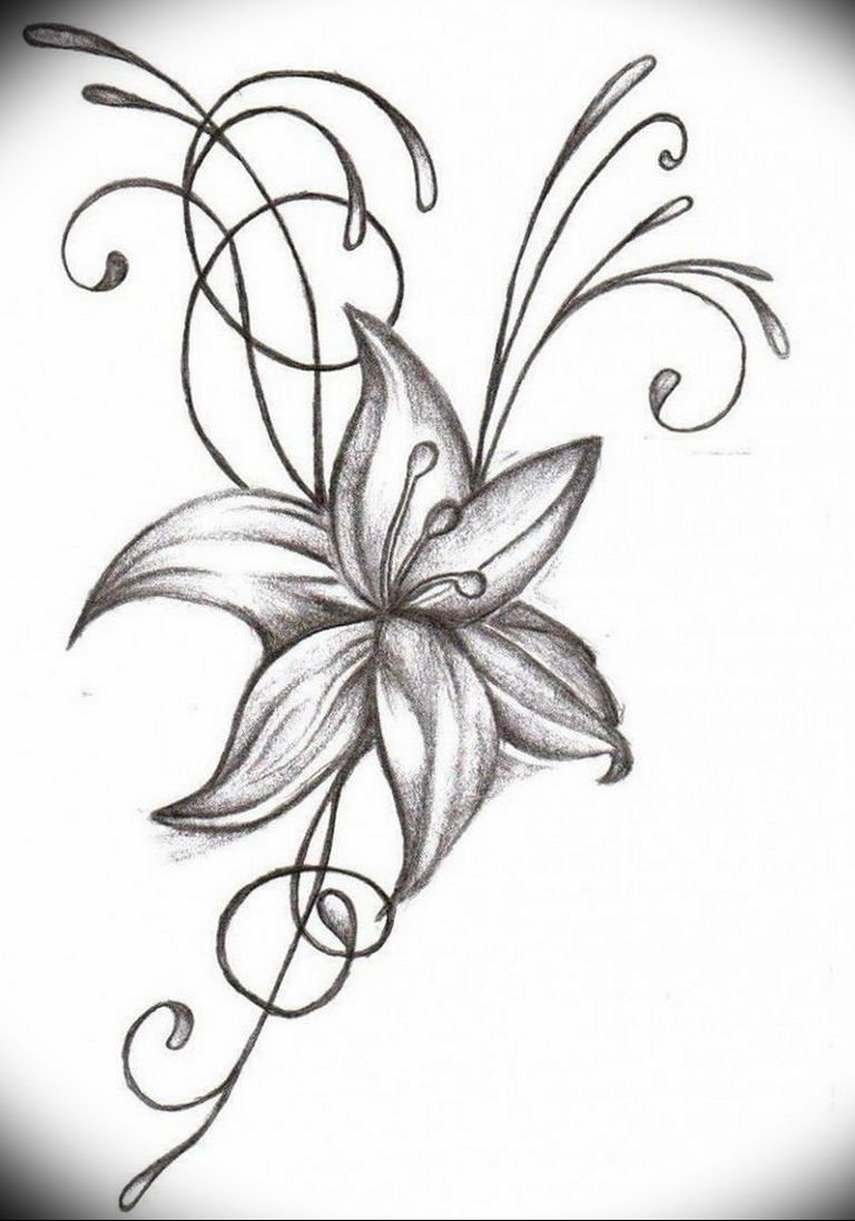 Photo tattoo jasmine sketches18.06.2019 №004 - tattoo - tatufoto.com