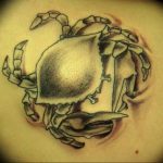 Photo tattoo zodiac sign Cancer 19.06.2019 №034 - tattoo zodiac sign - tattoovalue.net