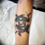 Photo tattoo zodiac sign Pisces 19.06.2019 №020 - tattoo zodiac sign - tattoovalue.net