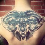 Photo tattoo zodiac sign aries 19.06.2019 №013 - tattoo zodiac sign - tattoovalue.net