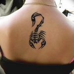 Photo tattoo zodiac sign scorpio 19.06.2019 №003 - tattoo zodiac sign - tattoovalue.net