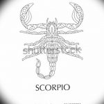 Photo tattoo zodiac sign scorpio 19.06.2019 №044 - tattoo zodiac sign - tattoovalue.net