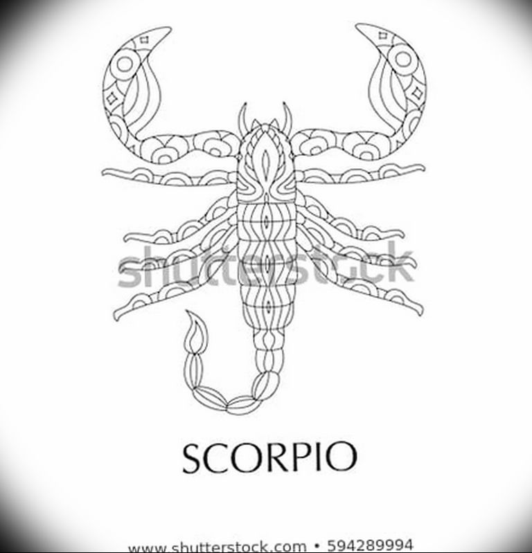 Photo tattoo zodiac sign scorpio 19.06.2019 №044 - tattoo zodiac sign - tattoovalue.net