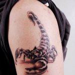 Photo tattoo zodiac sign scorpio 19.06.2019 №052 - tattoo zodiac sign - tattoovalue.net